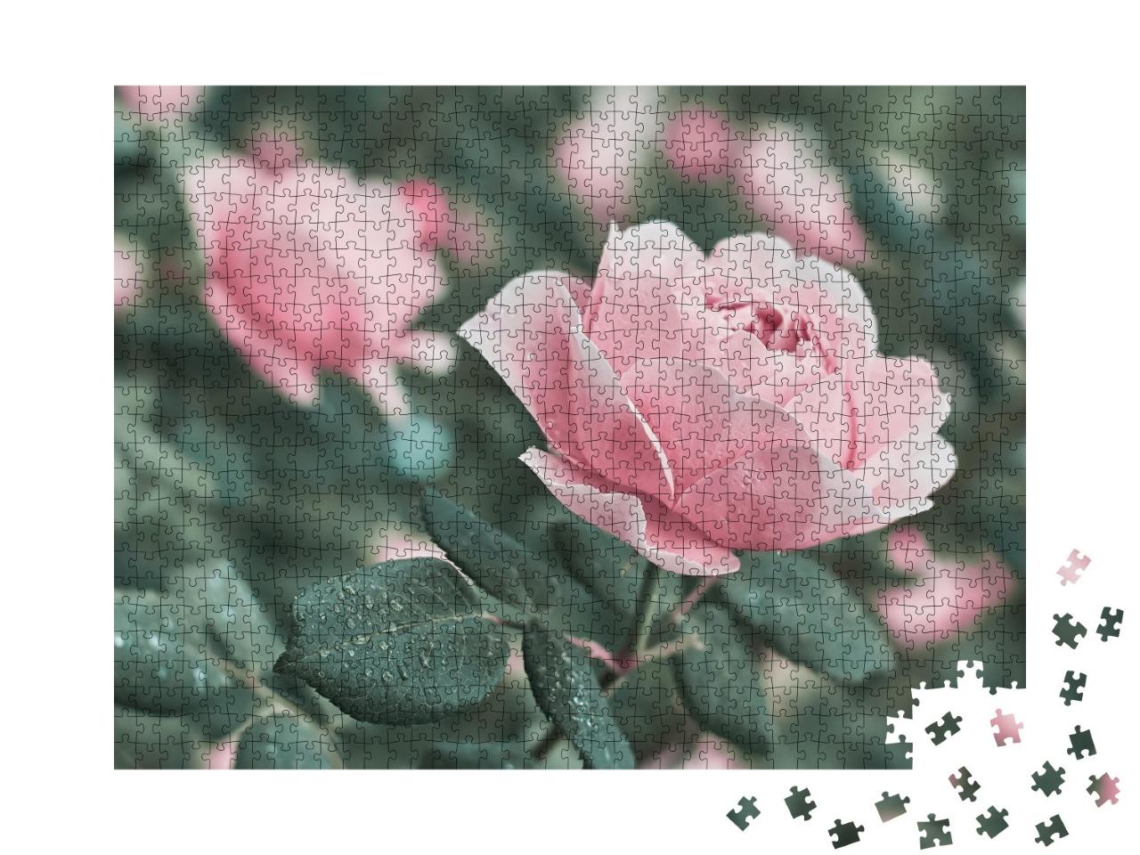 Puzzle de 1000 pièces « Roses roses dans la nature »