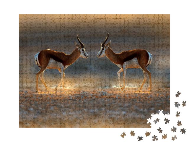 Puzzle de 1000 pièces « Antilope springbok au coucher du soleil, Namibie »