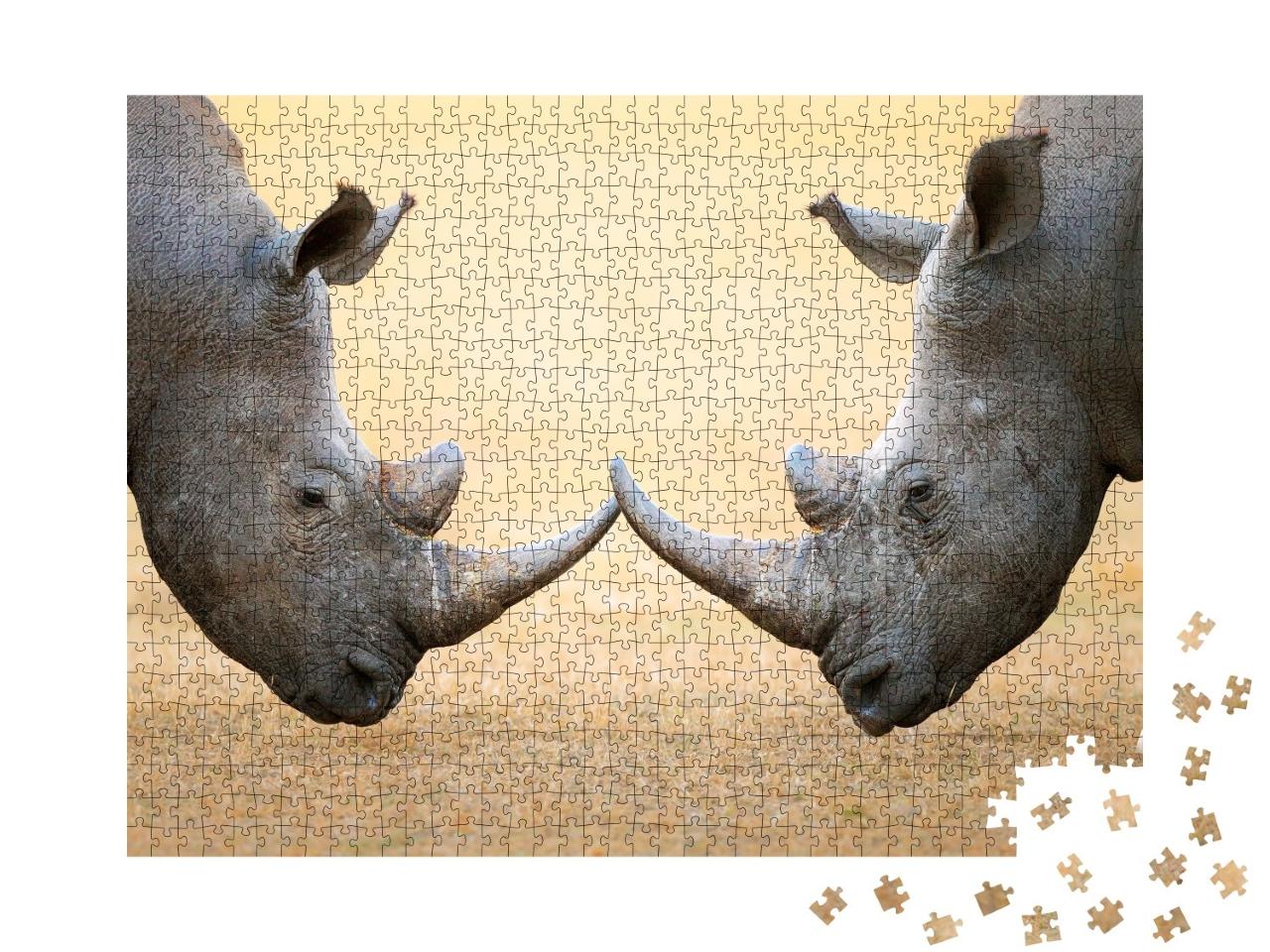 Puzzle de 1000 pièces « Rhinocéros blancs, au coude à coude - Parc national Kruger, Afrique du Sud »