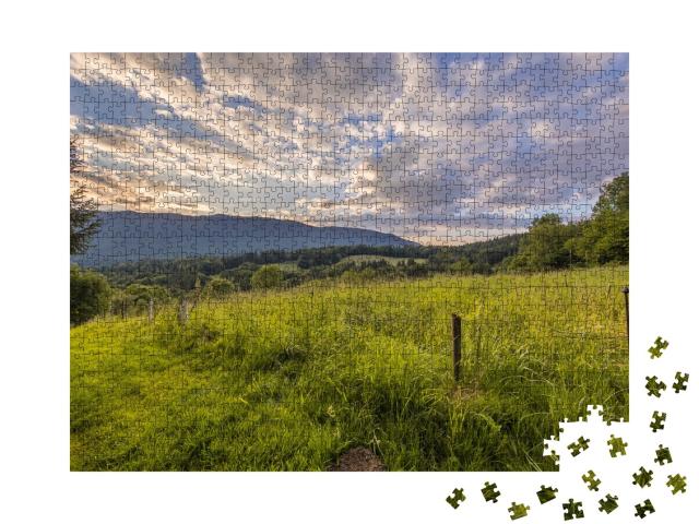 Puzzle de 1000 pièces « Paysage Vue sur la prairie agricole dans les alpes françaises en Haute savoie, France »