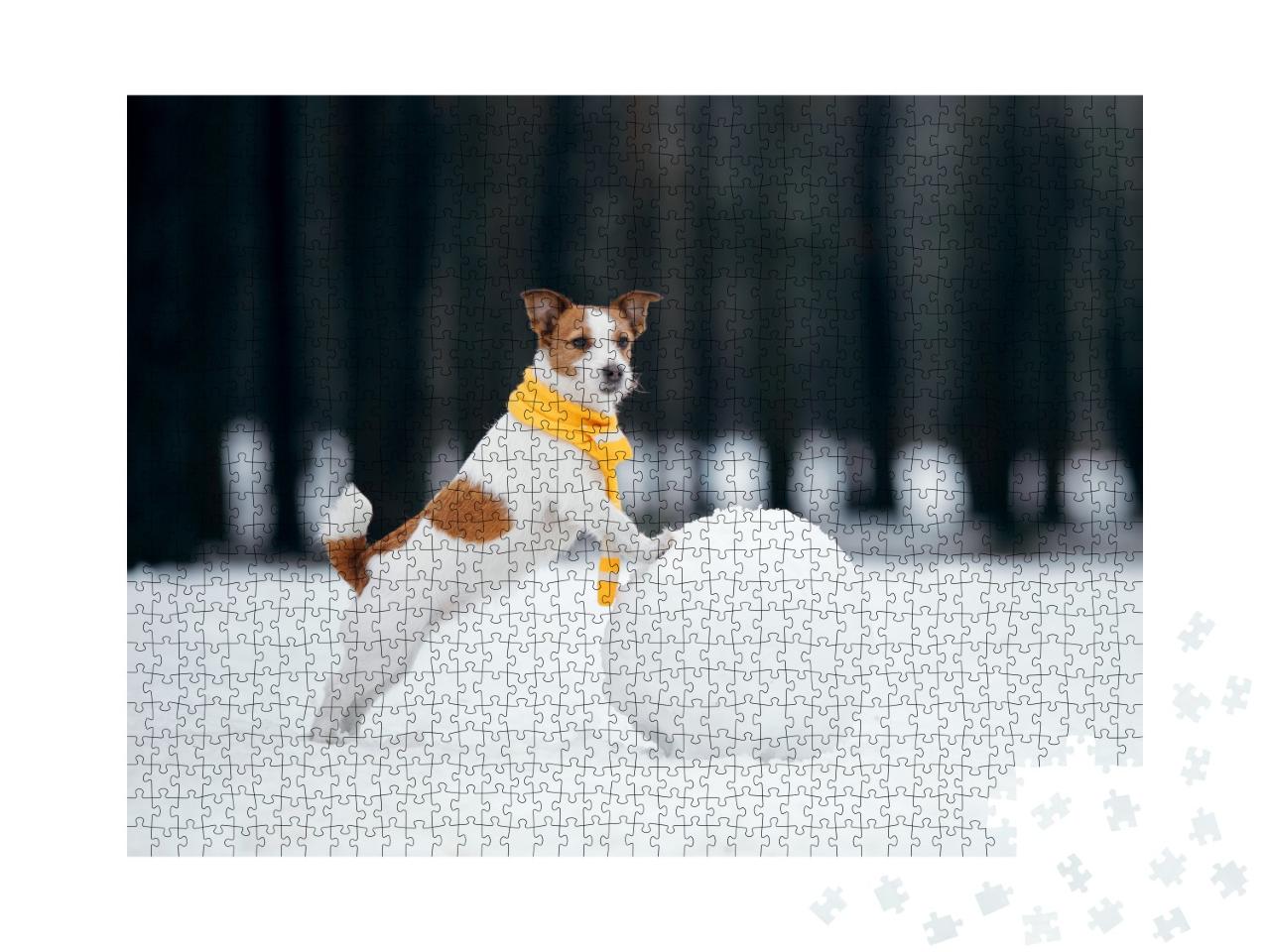 Puzzle de 1000 pièces « Jack Russell Terrier fait un bonhomme de neige »