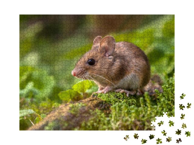 Puzzle de 1000 pièces « Une petite souris des bois toute mignonne »