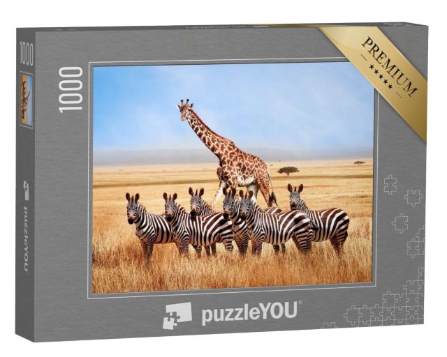 Puzzle de 1000 pièces « Groupe de zèbres et de girafes dans la savane africaine, Tanzanie »