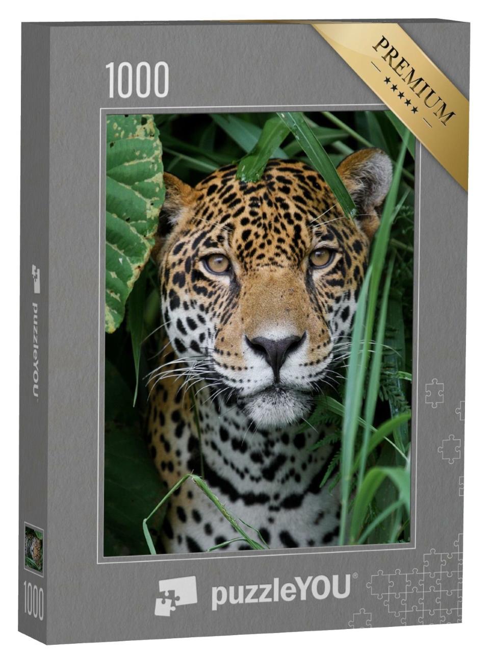 Puzzle de 1000 pièces « Un jaguar dans la jungle amazonienne »