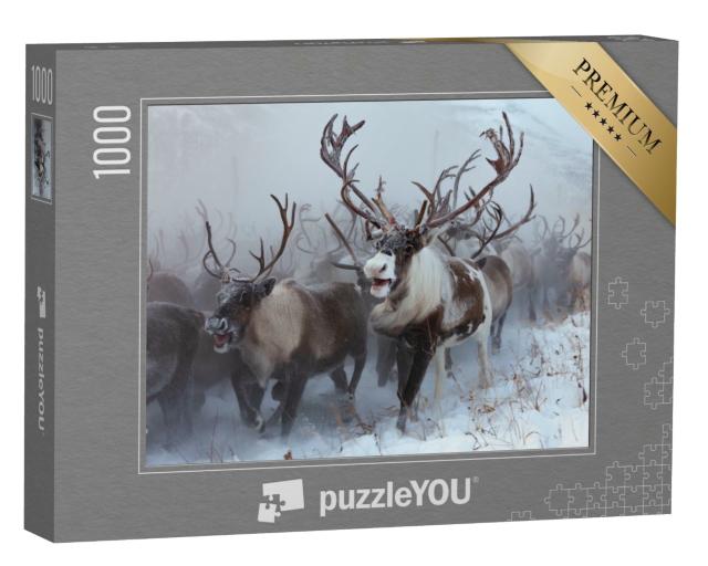 Puzzle de 1000 pièces « Troupeau de rennes dans la neige »