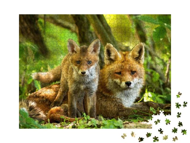 Puzzle de 1000 pièces « Charmante famille de renards roux »