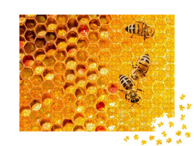 Puzzle de 1000 pièces « Gros plan d'abeilles sur un nid d'abeilles »