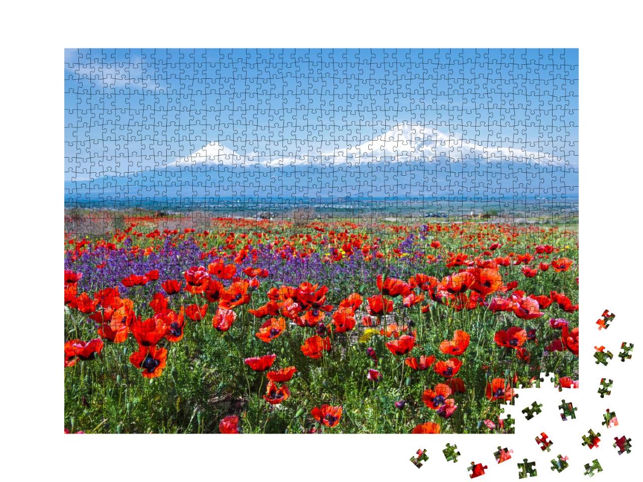 Puzzle de 1000 pièces « Le mont Ararat en Turquie »