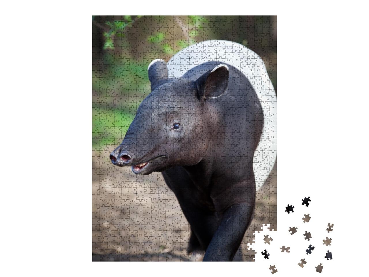 Puzzle de 1000 pièces « Gros plan sur un tapir malais »