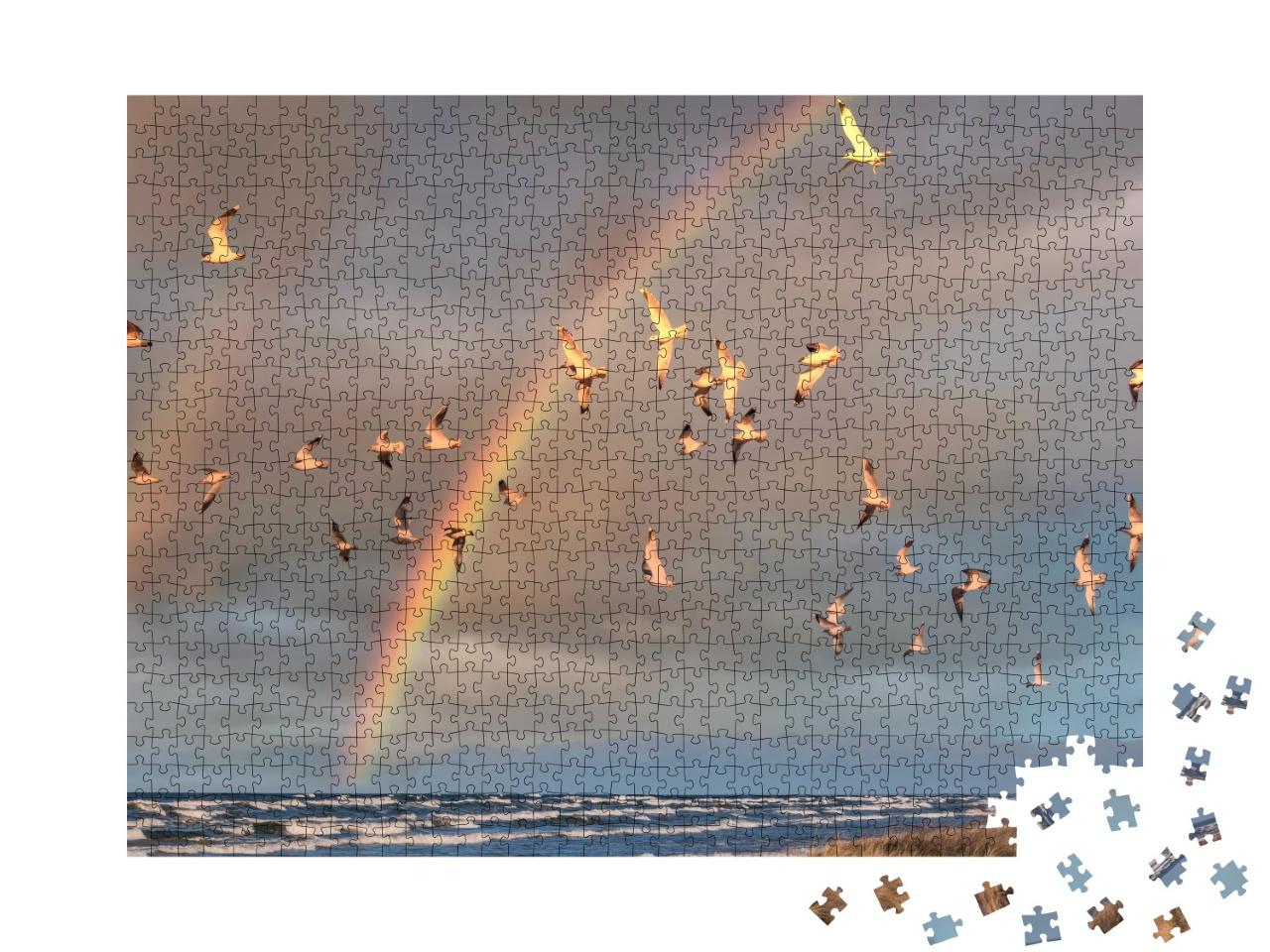 Puzzle de 1000 pièces « Banc de mouettes en vol sous un arc-en-ciel à la mer Baltique »