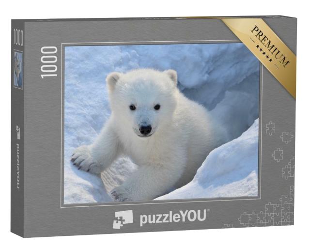 Puzzle de 1000 pièces « Portrait d'un ours blanc »