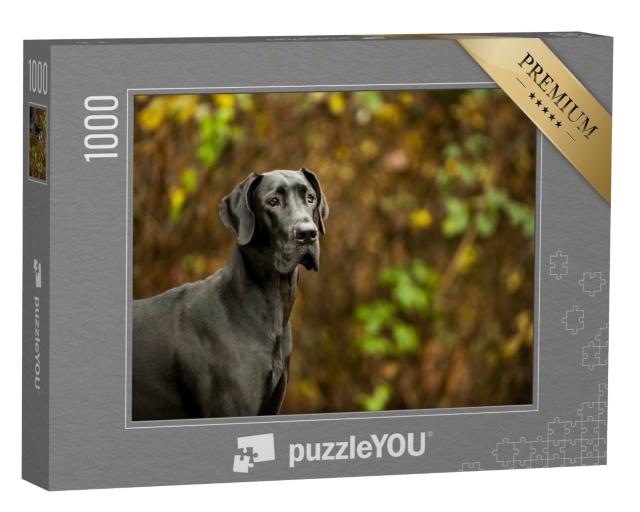 Puzzle de 1000 pièces « Le dogue allemand se tient devant la végétation »