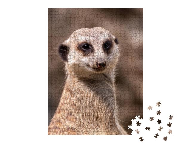 Puzzle de 1000 pièces « Les suricates au poste de garde »