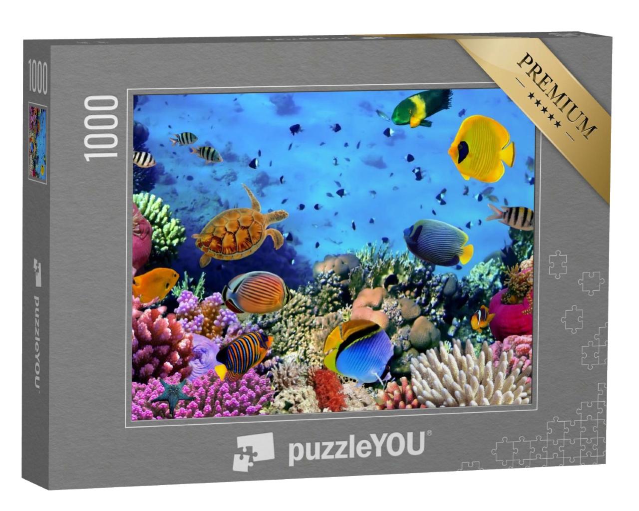 Puzzle de 1000 pièces « Colonie de coraux en mer Rouge, Égypte »
