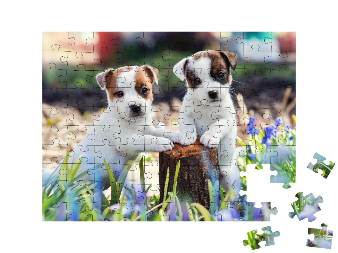 Puzzle de 100 pièces « Deux adorables chiots Jack Russell »