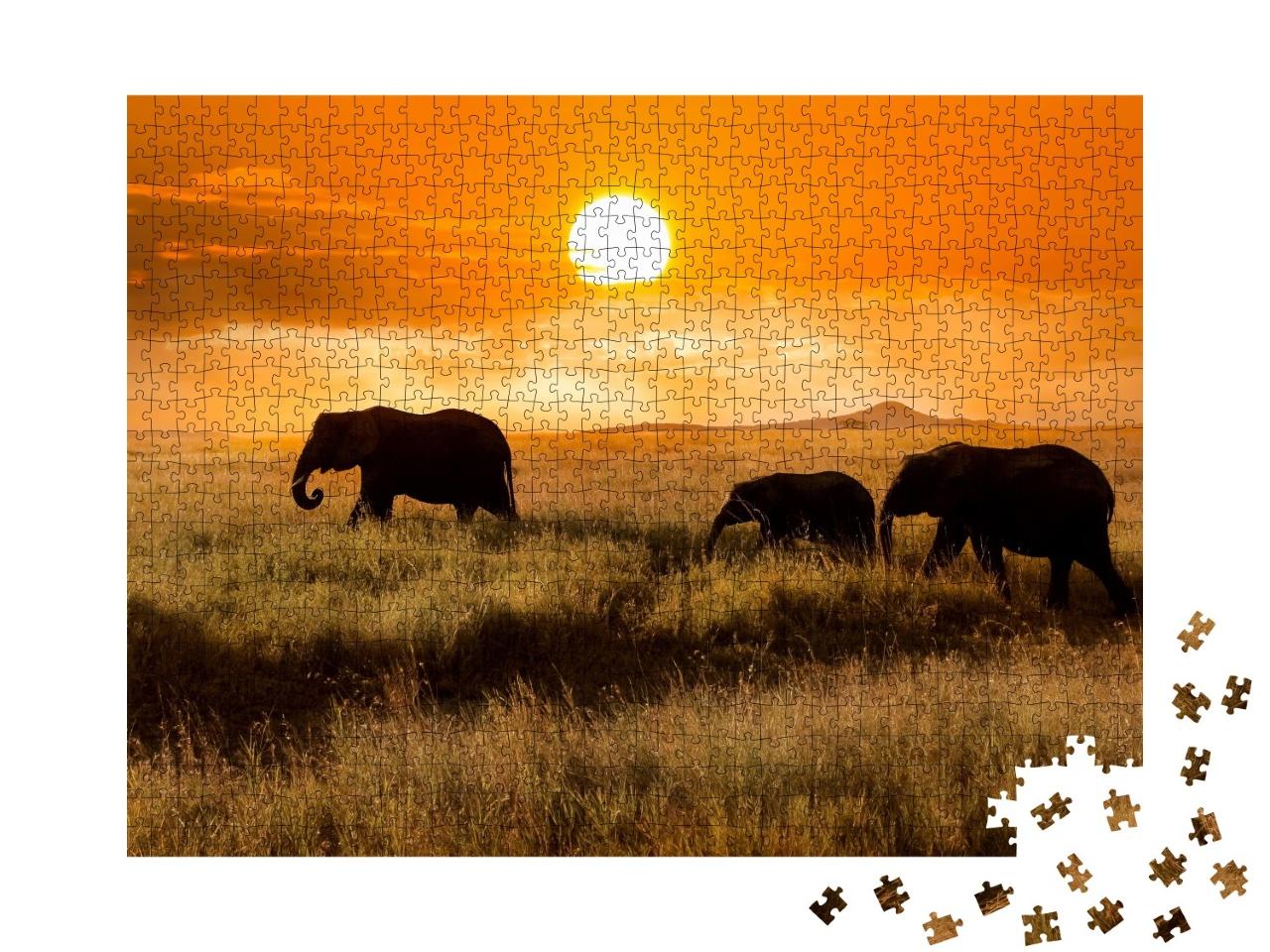 Puzzle de 1000 pièces « Famille d'éléphants au coucher du soleil dans le parc national d'Afrique »