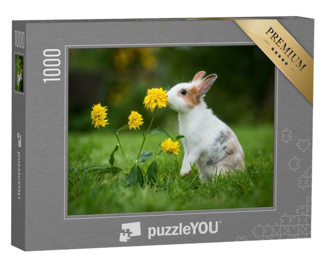 Puzzle de 1000 pièces « Petit lapin curieux »