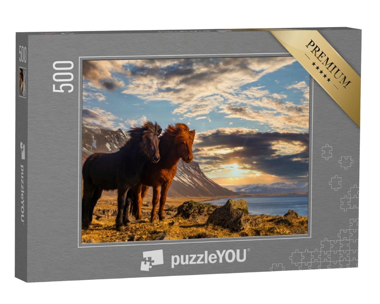 Puzzle de 500 pièces « Deux chevaux islandais sur la côte au coucher du soleil »