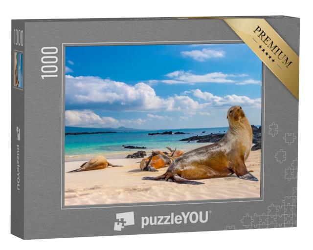 Puzzle de 1000 pièces « Phoques sur une plage des Galapagos, Équateur »