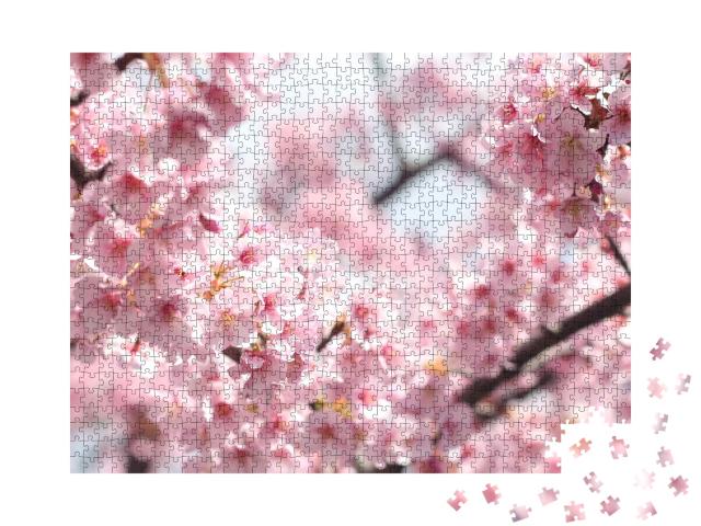 Puzzle de 1000 pièces « Magnifiques fleurs de cerisier roses, Tokyo, Japon »
