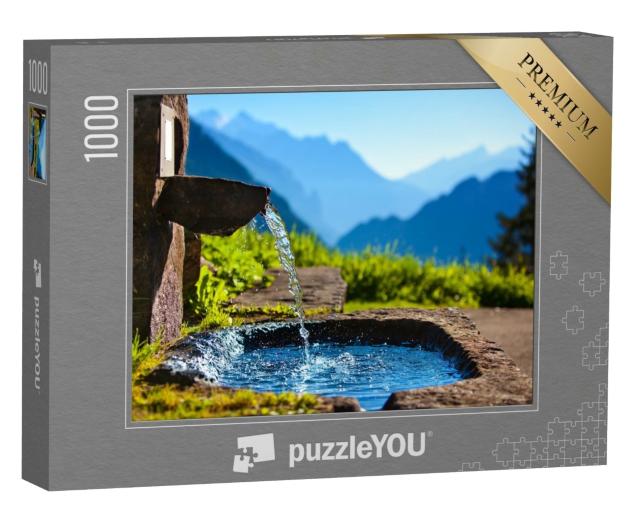 Puzzle de 1000 pièces « Source d'eau dans les Alpes »