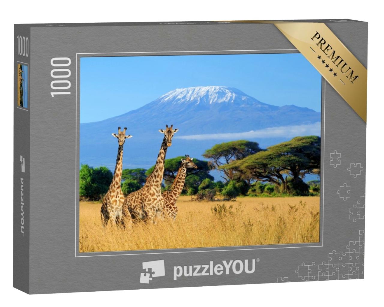 Puzzle de 1000 pièces « Girafes au Kilimandjaro, photo prise dans un parc national au Kenya »