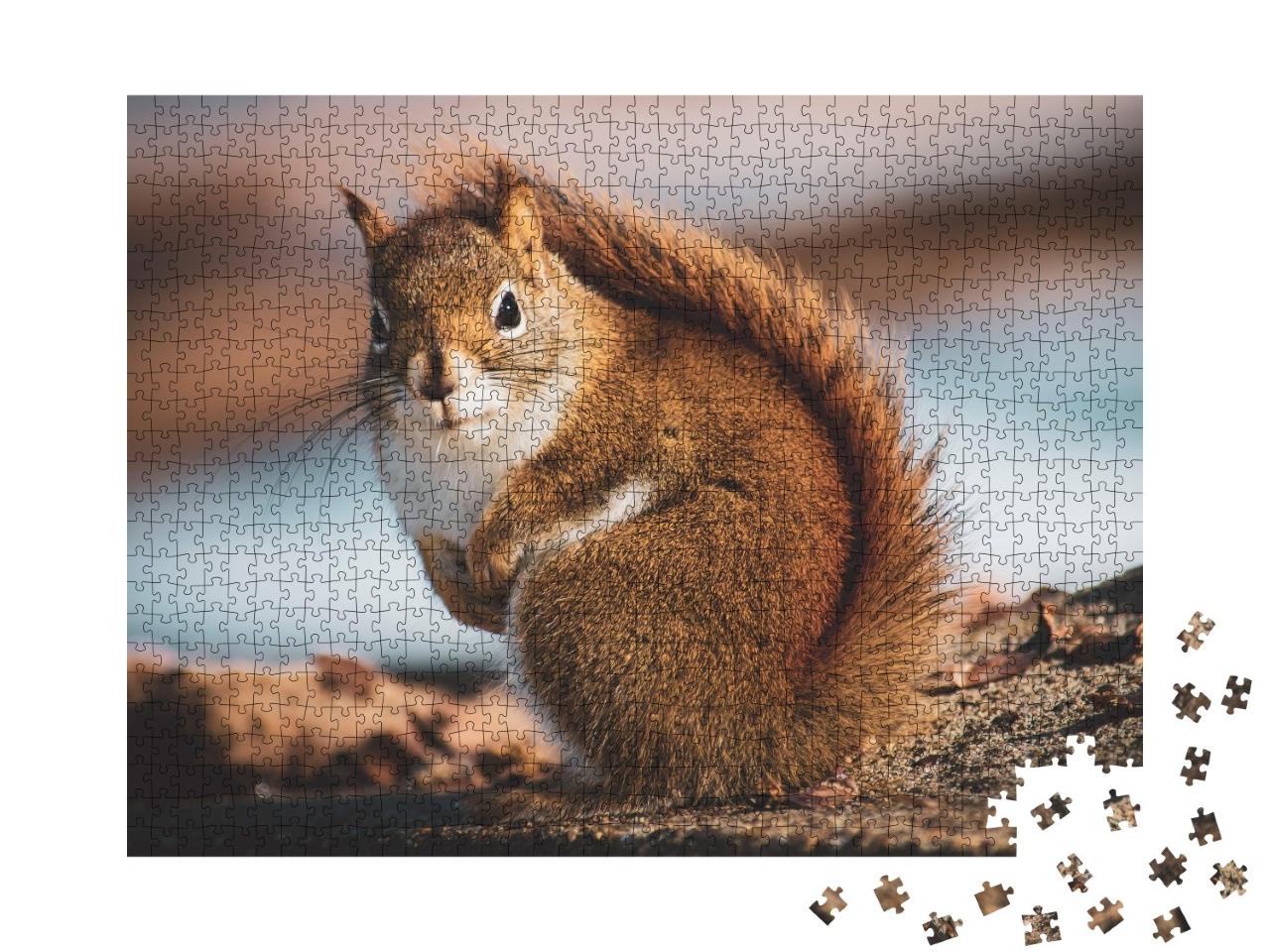 Puzzle de 1000 pièces « Petit écureuil dans la forêt »