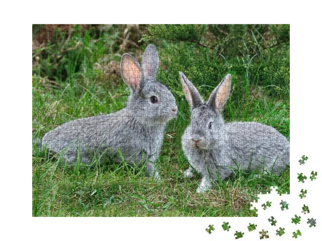 Puzzle de 1000 pièces « Des lapins gris duveteux sur l'herbe verte »