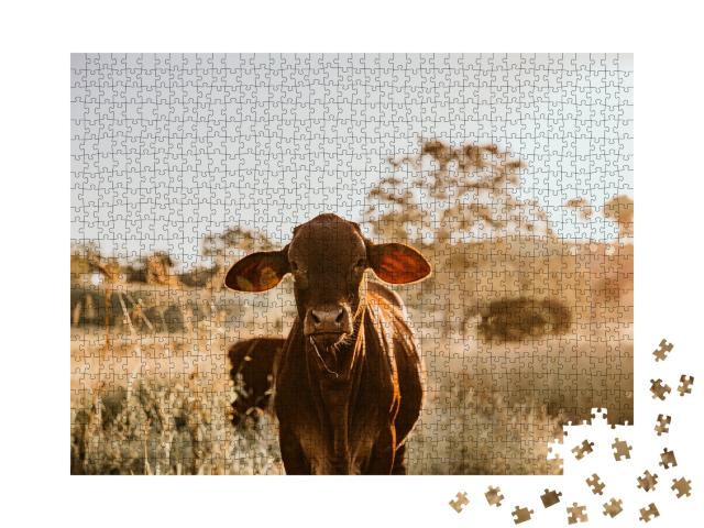 Puzzle de 1000 pièces « Jeune vache dans l'herbe »