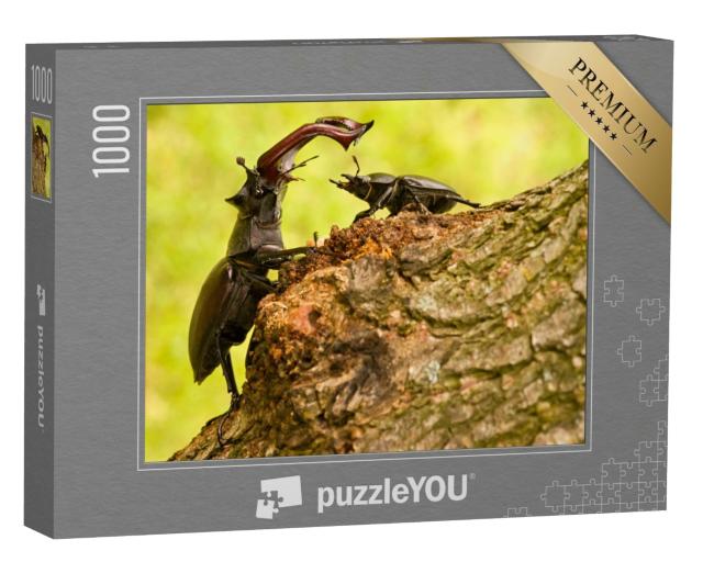 Puzzle de 1000 pièces « Majestueux cerf-volant mâle avec une femelle plus petite »