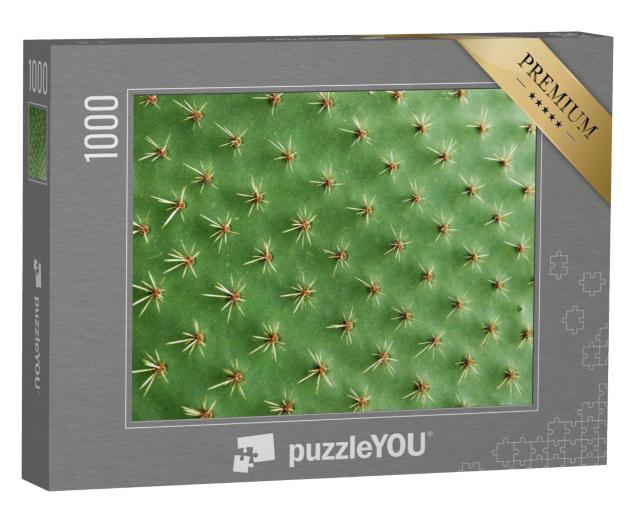 Puzzle de 1000 pièces « Gros plan sur les épines d'un cactus »