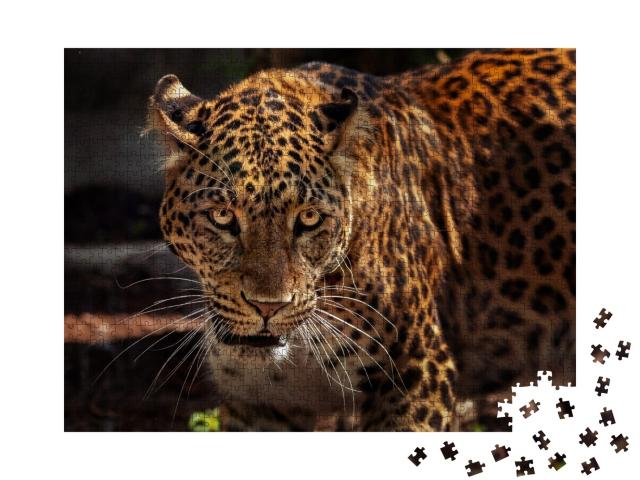 Puzzle de 1000 pièces « Image d'un jaguar puissant en tant que chasseur »