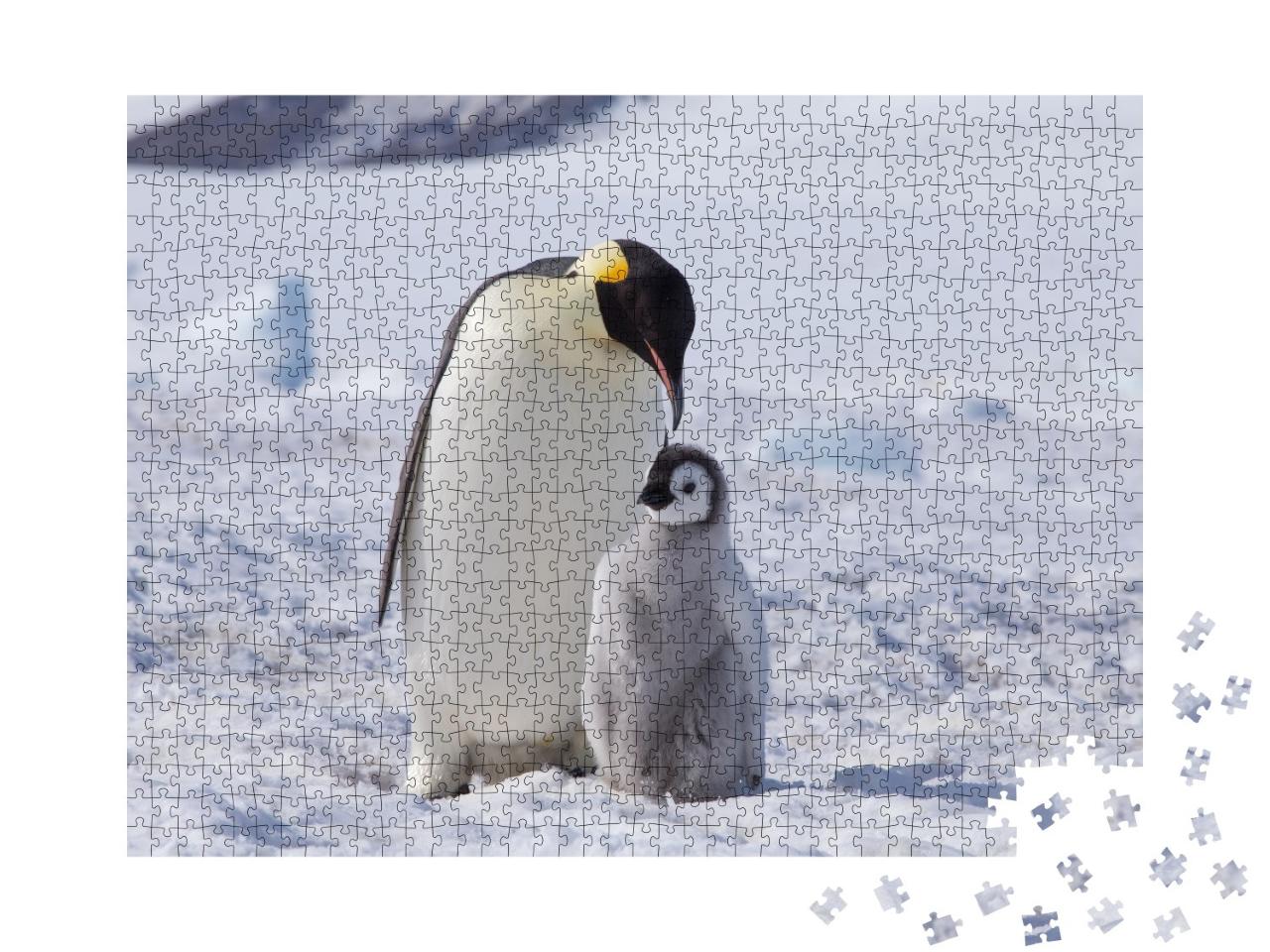 Puzzle de 1000 pièces « Un manchot empereur et son poussin, Antarctique »