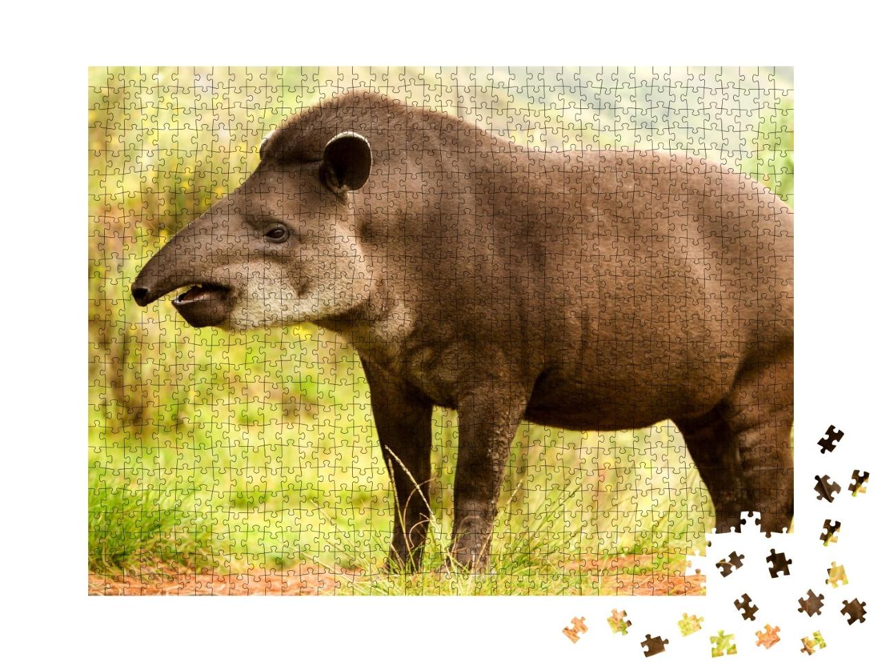 Puzzle de 1000 pièces « Tapir sud-américain dans la forêt »