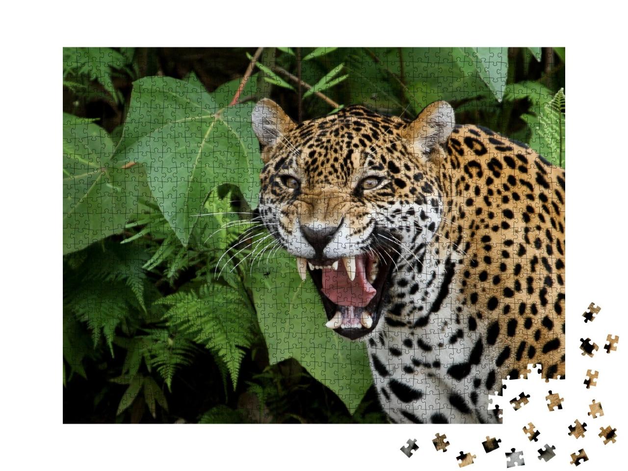 Puzzle de 1000 pièces « Jaguar dans la forêt amazonienne »