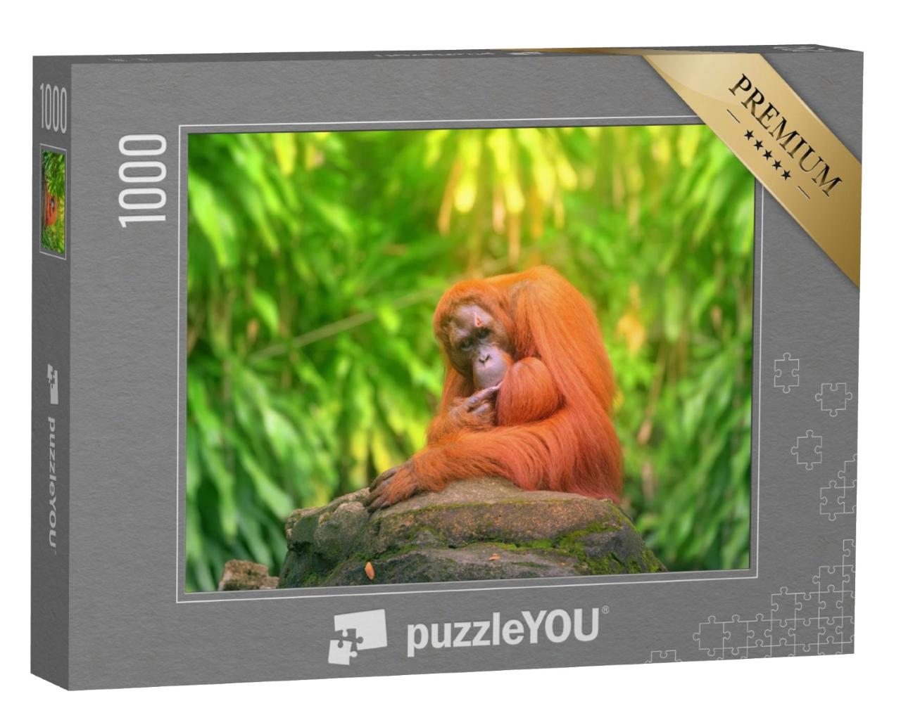 Puzzle de 1000 pièces « Orang-outan adulte dans la jungle »