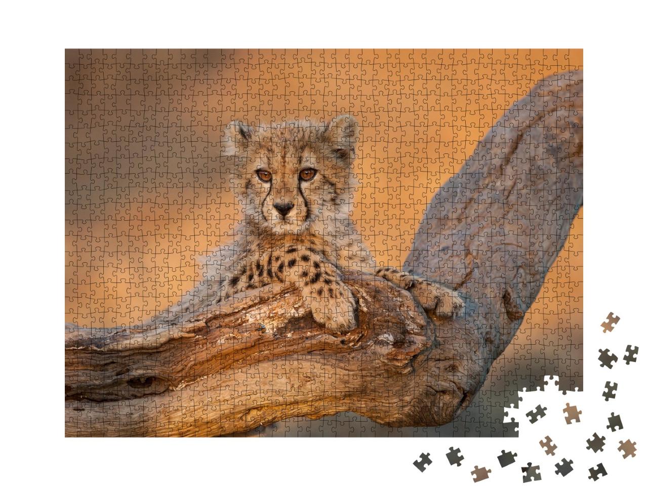 Puzzle de 1000 pièces « Bébés guépards sur une branche dans le parc Kruger, Afrique du Sud »