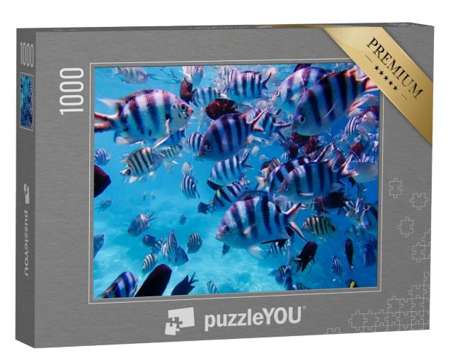 Puzzle de 1000 pièces « Groupe de poissons tropicaux multicolores sous l'eau »