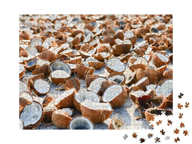 Puzzle de 1000 pièces « Noix de coco ouvertes »
