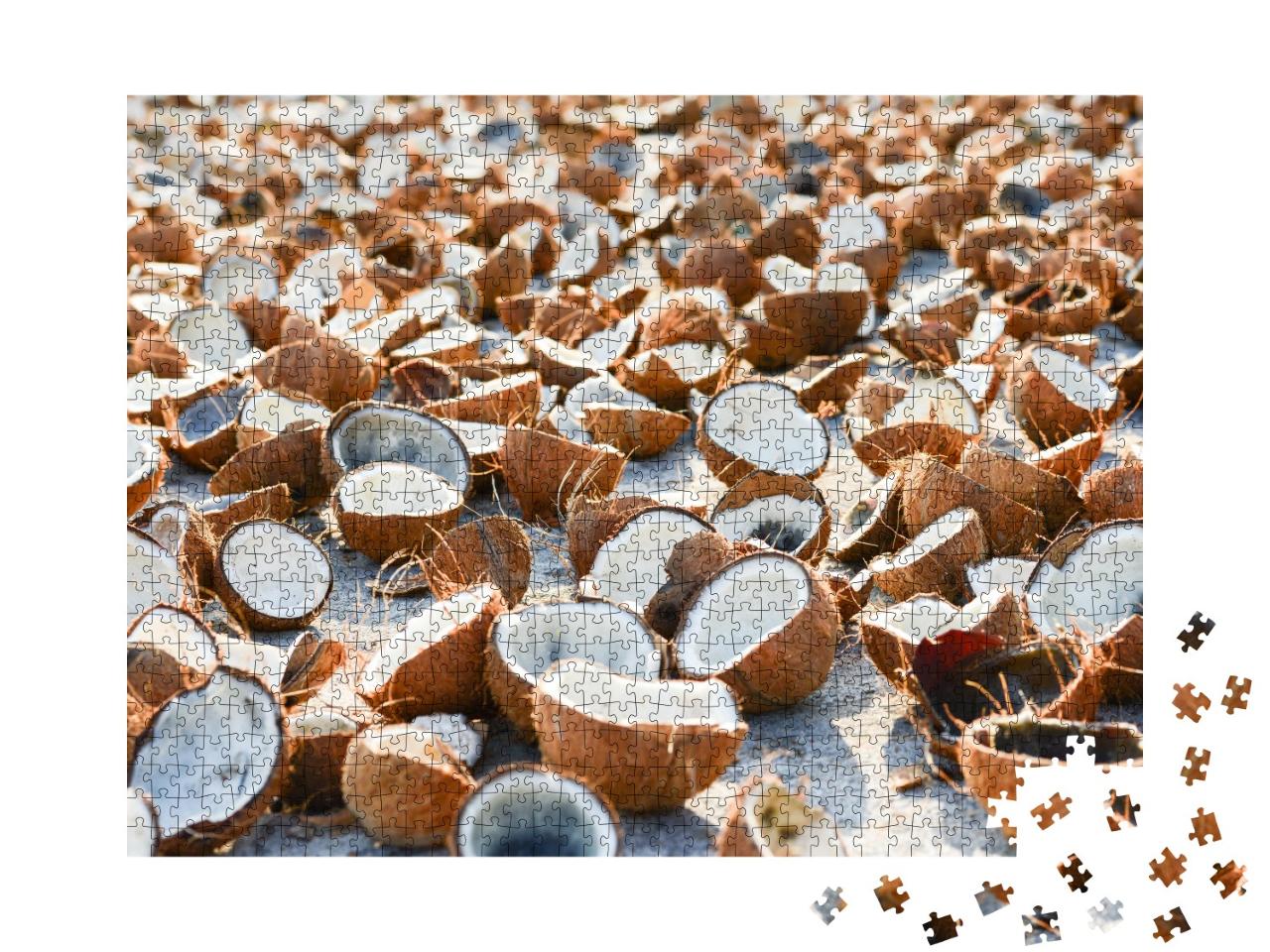 Puzzle de 1000 pièces « Noix de coco ouvertes »