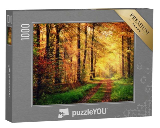 Puzzle de 1000 pièces « Paysage forestier automnal avec des rayons de lumière chauds »