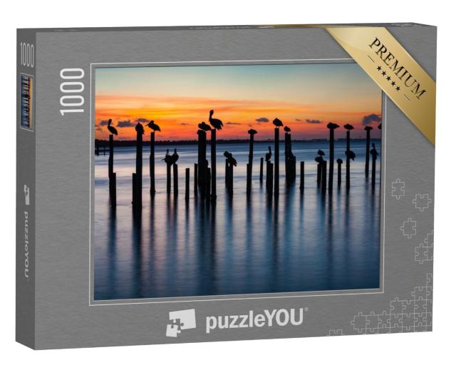 Puzzle de 1000 pièces « Pélicans au coucher du soleil sur de vieux piliers »