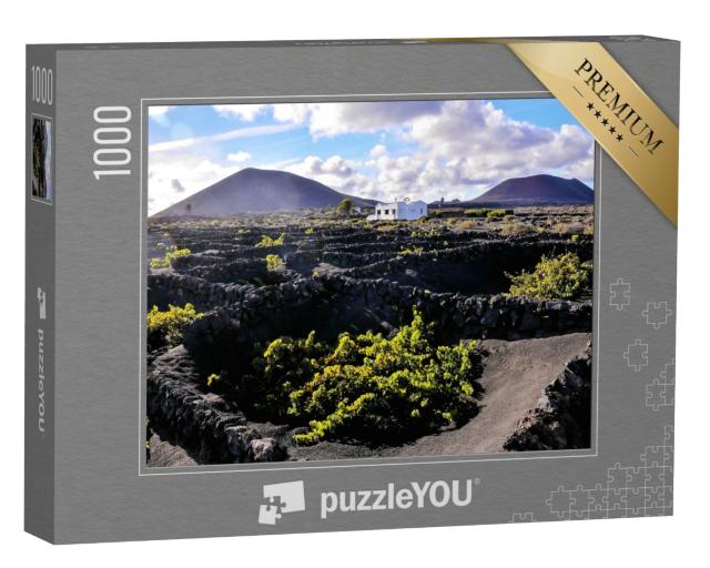 Puzzle de 1000 pièces « Vignobles de La Geria, Lanzarote, Îles Canaries, Espagne »