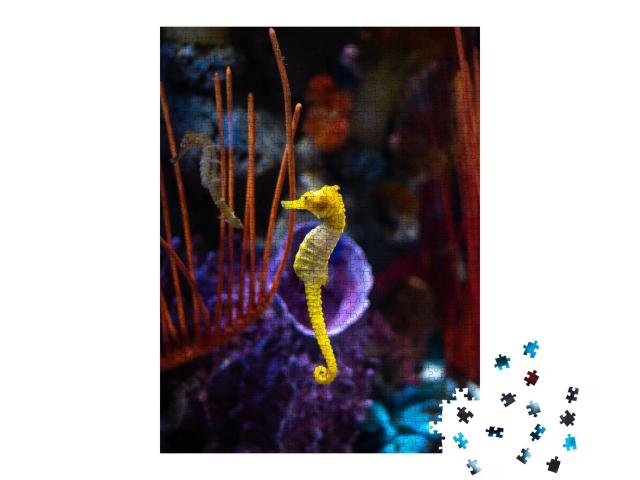 Puzzle de 1000 pièces « Hippocampes dans l'aquarium »
