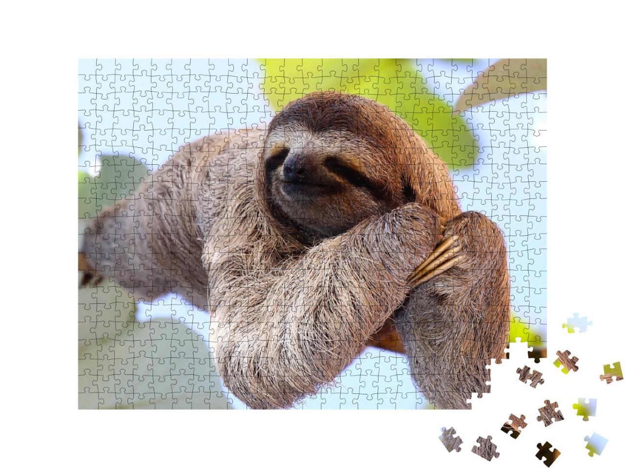 Puzzle de 500 pièces « Un paresseux heureux accroché à un arbre »