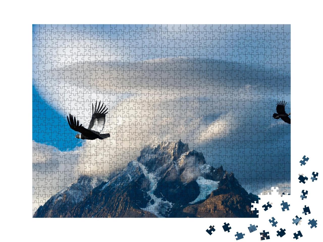 Puzzle de 1000 pièces « Condors des Andes dans le parc national Torres del Paine, Chili »