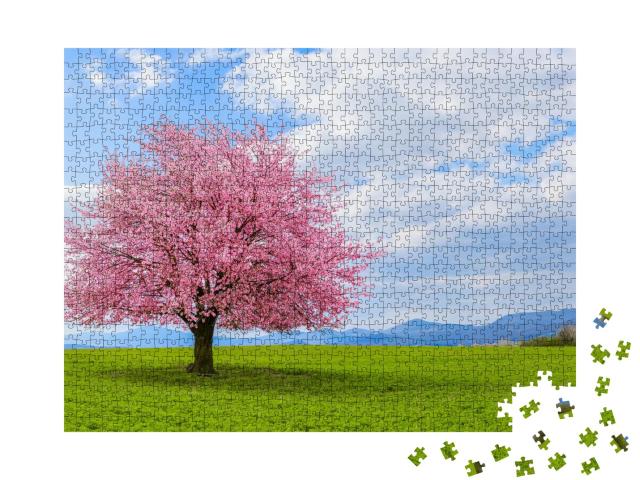 Puzzle de 1000 pièces « Printemps dans la nature avec un arbre en fleurs »