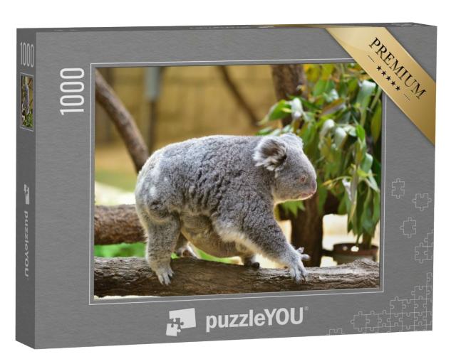 Puzzle de 1000 pièces « Un bébé koala s'accroche au ventre de sa mère »
