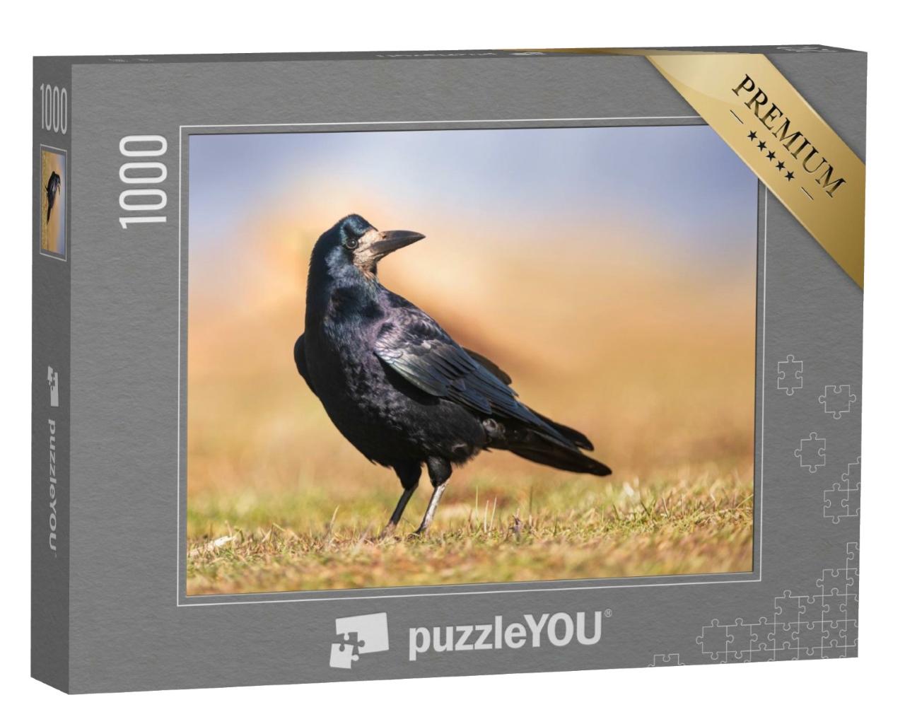 Puzzle de 1000 pièces « Plumage noir et brillant d'un corbeau freux »