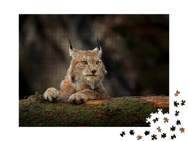 Puzzle de 1000 pièces « Un lynx attentif dans la forêt »
